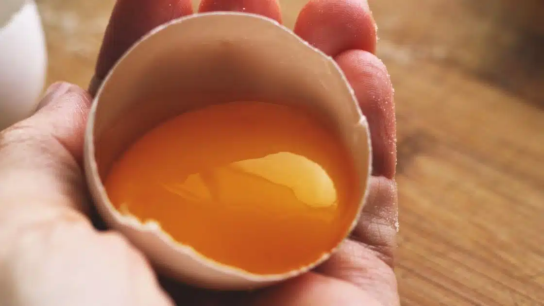 Lecithin