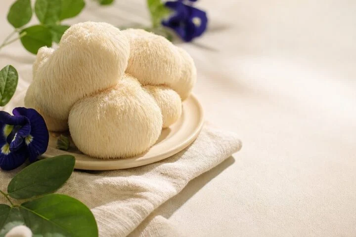 mushrooms health hub — เห็ด สรรพคุณจากงานวิจัย เสริมภูมิคุ้มกัน วิธีเลือกใช้ (2568)